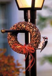 WBU Seed Wreath