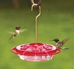 RT Hummingbirds RT Hummingbirds